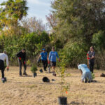 MAR - Lake Seminole Jan 24-10