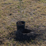 MAR - Lake Seminole Jan 24-13