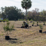 MAR - Lake Seminole Jan 24-14