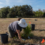 MAR - Lake Seminole Jan 24-17