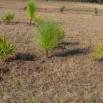 MAR - Lake Seminole Jan 24-30