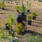 MAR - Lake Seminole Jan 24-4