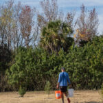 MAR - Lake Seminole Jan 24-40