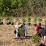 MAR - Lake Seminole Jan 24-8