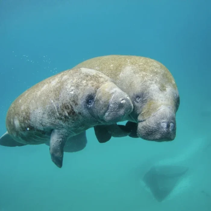 unsplash-image-udSP7GCxw3w